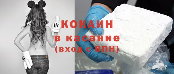СК Алексин