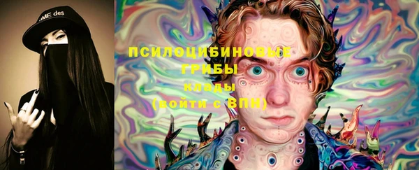 ECSTASY Алексеевка
