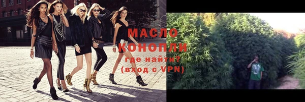 СК Алексин