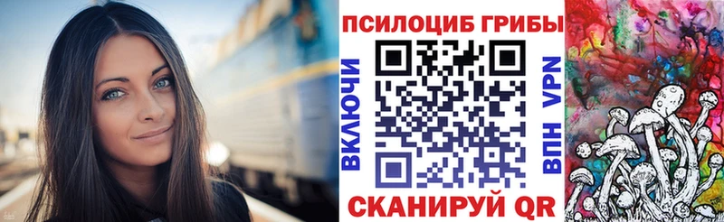 Галлюциногенные грибы Magic Shrooms продажа наркотиков Жиздра