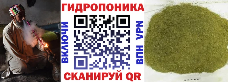 OMG ТОР  Жиздра  Канабис план  shop формула  сколько стоит 